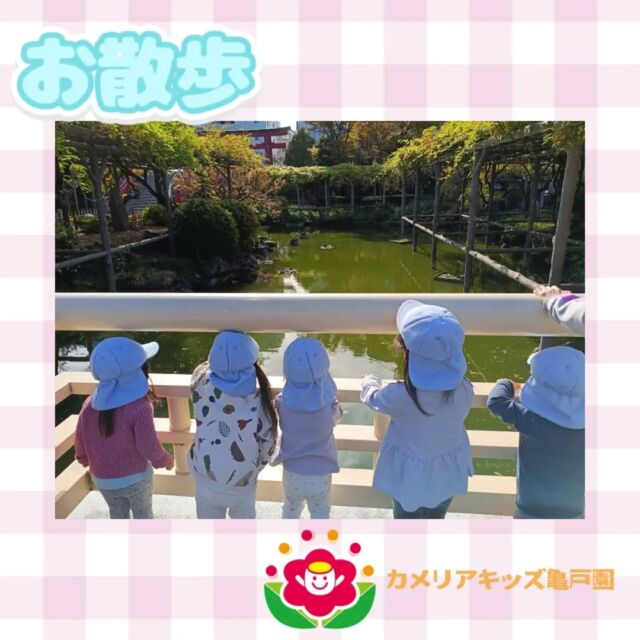 こんにちは！カメリアキッズ亀戸園です🐢 お散歩の様子をお届けいたします🌻🌈🌈🌈🌈🌈🌈🌈🌈🌈随時説明会を開催中です！ご連絡お待ちしております！🌈🌈🌈🌈🌈🌈🌈🌈🌈他SNSも要チェック♪Instagram：@itg_camellia_kidsYouTube：🔎カメリアキッズほいくえ：🔎カメリアキッズTikTok：camellia_kids_hoikuen✯ ✯ ✯ ✯ ✯ ✯ ✯ ✯ ✯ ✯ ✯🚩カメリアキッズ亀戸園🏠〒136-0071　　東京都江東区亀戸2-43-2ドルミ亀戸101号室☎️03-6802-9745🗣️園児・保育士さん・調理さん　　　＼  募 集 中 ／✯ ✯ ✯ ✯ ✯ ✯ ✯ ✯ ✯ ✯ ✯#ママライフ #ママリ #保育園#子育てママ#保育士#おもちゃ#ママスタグラム#2歳児#働くママ#幼児食#1歳児#0歳児#保育#江東区#保育士の卵#企業主導型保育園#保育学生#小規模保育園#園児募集#保育士試験#保育士募集#認可外保育園#保育学生#亀戸#保育園探し#保育士求人#東京都保育園#江東区保育園#亀戸保育園