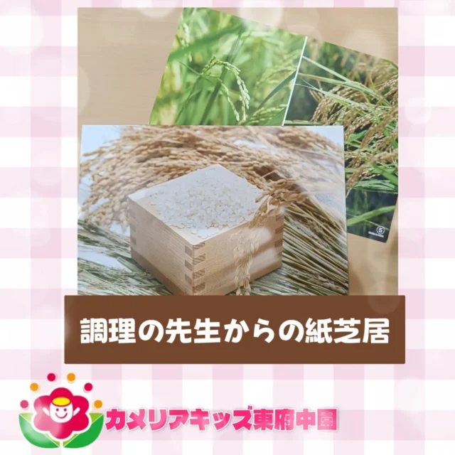 こんにちは、カメリアキッズ東府中園です✨今月の食育テーマは「稲穂🌾」でした。普段美味しい給食を作ってくれる調理の先生が紙芝居や食材を使ってお話ししてくれました｡実際に稲穂🌾を触ってみると「クスクス」と同時に「パラパラ」と先端についた籾（もみ：殻のついた米粒）が落ちてくる音に子ども達は目を輝かせていましたよ✨️小さな粒を丁寧に触るこどもたち普段では中々触れられない食材に触れることができ貴重な経験となりました。毎月テーマが異なる食育🌾来月も楽しみです。随時説明会開催中です!ご連絡お待ちしております！他SNSも要チェック♪HP:カメリアキッズyoutube:🔎カメリアキッズほいくえ:🔎カメリアキッズTikTok:@camellia_kis_hoikuen☆☆☆☆☆☆☆☆☆☆☆☆☆☆カメリアキッズ東府中園〒183-0005住所　東京都府中市若松町1-7-6サングレース東府中1F☎電話番号042-319-8322園児・保育士さん・調理さん◎◎◎募集中◎◎◎☆☆☆☆☆☆☆☆☆☆☆☆☆☆☆#ママライフ#ママリ#保育園#子育てママ#保育士#おもちゃ#ママスタグラム#2歳児#働くママ#幼児食#1歳児#0才児#保育#府中市#保育士の卵#企業主導型保育園#保育学生#小規模保育園#園児募集#保育士試験#保育士募集#認可外保育園#東府中#保育園探し#保育士求人#カメリアキッズ#東京都保育園#府中市保育園#東府中保育園