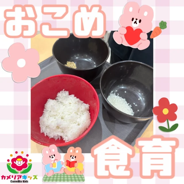 こんにちは😃おこめの食育をしました✨この日はお友だちが少なくとても少人数でしたがみんな楽しくおこめについて学ぶことができました☺️随時説明会開催中です！ご連絡お待ちしております！他SNSも要チェック♪HP：カメリアキッズyoutube：🔎カメリアキッズほいくえ：🔎カメリアキッズTikTok：🔎@camellia_kids_hoikuen☆☆☆☆☆☆☆☆☆☆☆☆カメリアキッズ蒲田2号園〒144-0051東京都大田区西蒲田8-7-1ブランドール2F☎️03-6715-8965園児・保育士さん・調理さん◎◎◎募集中◎◎◎☆☆☆☆☆☆☆☆☆☆☆☆#ママライフ #ママリ #保育園#子育てママ#保育士#おもちゃ#ママスタグラム#2歳児#働くママ#幼児食#1歳児#0歳児#保育#大田区#保育士の卵#企業主導型保育園#保育学生#小規模保育園#園児募集#保育士試験#保育士募集#認可外保育園#保育学生#蒲田#保育園探し#保育士求人#カメリアキッズ#東京都保育園#大田区保育園#蒲田保育園