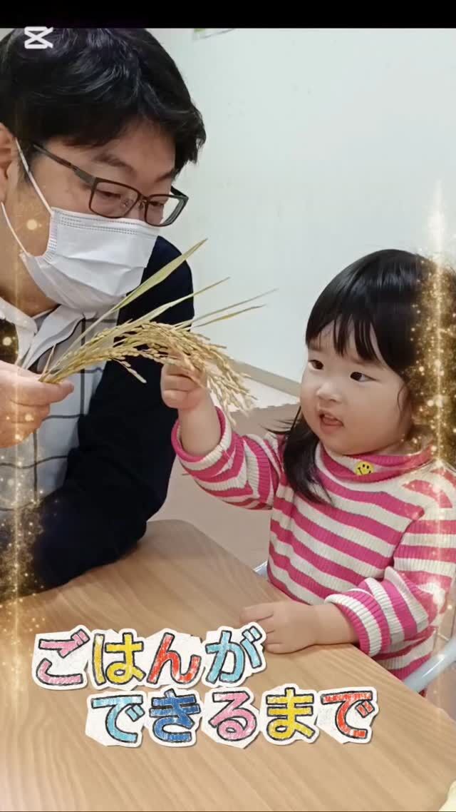 こんにちは♪カメリアキッズ日ノ出町園です😗11月の食育『ごはんができるまで』🍚ひとりひとり稲穂に触れ、籾すり体験✨️0歳児クラスさんも参加！ちょっとドキドキな子どもたちです♡自分の力ですりこぎを握って動かす2歳児さん！とても頼もしかったです😊.*･｡ﾟ♬*゜ﾟ.*･｡ﾟ♬*゜ﾟ.*･｡ﾟ♬*.*･｡ﾟ♬*随時説明会開催中です✨️ご連絡お待ちしております🌈他SNSも要チェック♪Instagram：@itg_camellia_kidsTwitter：camellia_kidsyoutube：🔎カメリアキッズほいくえ：🔎カメリアキッズTikTok:🔎@camellia_kids_hoikuen⁡⁡☆☆☆☆☆☆☆☆☆☆☆☆🚩カメリアキッズ 日ノ出町園🚩〒231-0066神奈川県横浜市中区日ノ出町1-200日ノ出サクアス201☎️045-334-8529園児・保育士さん・調理さん**◎◎◎募集中**◎◎◎*⁡#ママライフ #ママリ #保育園#子育てママ#保育士#おもちゃ#ママスタグラム#2歳児#働くママ#幼児食#1歳児#0歳児#保育#横浜市#中区#保育士の卵#企業主導型保育園#保育学生#小規模保育園#園児募集#保育士試験#保育士募集#認可外保育園#保育学生#日ノ出町#保育園探し#保育士求人#カメリアキッズ#横浜市保育園#横浜市保育園#横浜保育園