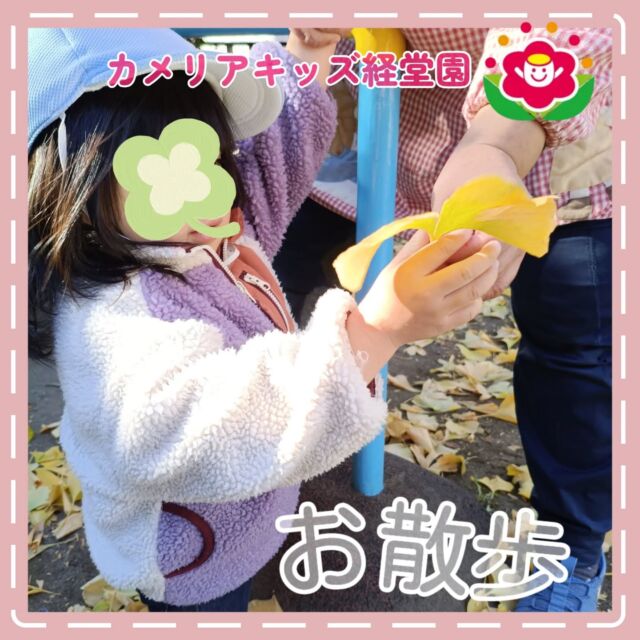 こんにちは😊カメリアキッズ経堂園です✨本日はお散歩に行きました！いちょうのはっぱを拾ったり、追いかけっこや砂場遊びしたり自然とふれあいました🍂⁡⁡＊随時説明会開催中です！ご連絡お待ちしております！他SNSも要チェック♪HP：カメリアキッズyoutube：🔎カメリアキッズほいくえ：🔎カメリアキッズTiktok：🔎@camellia_kids_hoikuen🌷🌷🌷🌷🌷🌷🌷🌷🌷🌷🌷🌷🌷🌷🌷156-0052東京都世田谷区経堂1-19-14第六経堂ビル2F【営業時間7:30〜20:30】TEL.03-6413-7449（受付時間　月〜金　8:30〜17:30）【開園日】月〜日・祝◎園児・保育士・調理さん募集中◎🌷🌷🌷🌷🌷🌷🌷🌷🌷🌷🌷🌷🌷🌷🌷#ママライフ #ママリ #保育園 子育てママ 保育士 おもちゃ ママスタグラム 2歳児 働くママ 幼児食 1歳児 0歳児 保育 世田谷区 保育士の卵 企業主導型保育園 保育学生 小規模保育園 園児募集 保育士試験 保育士募集 認可外保育園 保育学生 経堂 保育園探し 保育士求人 カメリアキッズ 東京都保育園 世田谷区保育園 経堂保育園