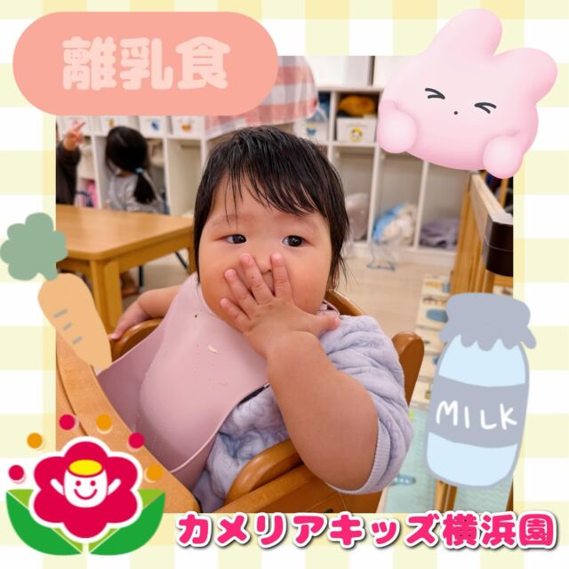 こんにちは🕊️カメリアキッズ横浜園です🌷離乳食は幼児食よりも早く食べ始めます🥣🍼たまにお散歩から帰ってきたばかりでお腹を空かせたお友だちが羨ましそうに見にくることも...👀∴∵∴ ୨୧ ∴∵∴ ୨୧ ∴∵∴ ୨୧ ∴∵୨୧ ∴∵∴ ୨୧ ∴∵∴ ୨୧ 随時説明会開催中です✨ご連絡お待ちしております🌈⁡他SNSも要チェック♪Instagram：@itg_camellia_kidsyoutube：🔎カメリアキッズほいくえ：🔎カメリアキッズ⁡⁡☆☆☆☆☆☆☆☆☆☆☆☆🚩カメリアキッズ横浜園🚩〒220-0073神奈川県横浜市西区岡野1-10-6 ストーク横浜参番館1F☎️045-628-9533園児・保育士さん・調理さん**◎◎◎募集中**◎◎◎*⁡#ママライフ #ママリ #保育園#子育てママ#保育士#おもちゃ#ママスタグラム#2歳児#働くママ#幼児食#1歳児#0歳児#保育#横浜市#保育士の卵#企業主導型保育園#保育学生#小規模保育園#園児募集#保育士試験#保育士募集#認可外保育園#保育学生#横浜#保育園探し#保育士求人#カメリアキッズ#神奈川県保育園#西区保育園#横浜保育園