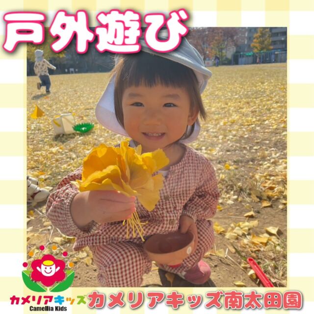 こんにちは！カメリアキッズ南太田園です♪お散歩に行ったら、イチョウの葉がたくさん落ちてたので集めたりばら撒いたりして遊びました😌こっちには茶色い葉が落ちてるよーと教えてくれました😳。・:*:・゜★,。・:*:・゜☆。・:*:・゜★,。・:*:・゜☆⁡  随時説明会開催中です✨ ご連絡お待ちしております🌈 ⁡ 他SNSも要チェック♪ HP：カメリアキッズ youtube：🔎カメリアキッズ ほいくえ：🔎カメリアキッズ TikTok：🔎@camellia_kids_hoikuen ⁡ ☆☆☆☆☆☆☆☆☆☆☆☆  🚩カメリアキッズ 南太田園🚩 〒232-0006 神奈川県横浜市南区南太田１丁目34-7 ☎️045-334-7497  園児・保育士さん・調理さん **◎◎◎募集中**◎◎◎* ⁡ #ママライフ #ママリ #保育園#子育てママ#保育士おもちゃママスタグラム2歳児働くママ幼児食1歳児0歳児保育南区保育士の卵企業主導型保育園保育学生小規模保育園園児募集保育士試験保育士募集認可外保育園保育学生南太田保育園探し保育士求人カメリアキッズ神奈川県保育園南区保育園南太田保育園