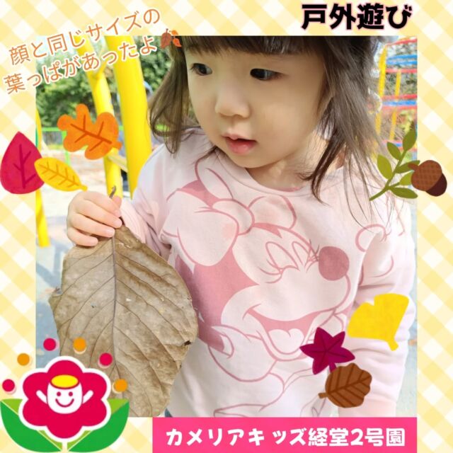 こんにちは♪カメリアキッズ経堂2号園です😄今回は公園にお散歩に行った様子をお届けします✨️子どもの顔のサイズより大きな葉っぱを見つけて見せてくれたり、トンネルに入って嬉しそうに遊んでいる様子になります😳まだ0歳児のお友達はバギーが心地良くて寝てしまうこともしばしばありますが、とっても可愛らしいです😴💞************************随時説明会開催中です！ご連絡お待ちしております！他SNSも要チェック♪HP：カメリアキッズyoutube：🔎カメリアキッズほいくえ：🔎カメリアキッズTikTok：🔎@camellia_kids_hoikuen☆☆☆☆☆☆☆☆☆☆☆☆カメリアキッズ経堂2号園〒156-0051東京都世田谷区宮坂2-18-3 キャッスル経堂1階☎️03-5799-6185園児・保育士さん・調理さん◎◎◎募集中◎◎◎☆☆☆☆☆☆☆☆☆☆☆☆#ママライフ#ママリ#保育園#子育てママ#保育士#おもちゃ#ママスタグラム#2歳児#働くママ#幼児食#離乳食#1歳児#0歳児#保育#世田谷区#保育士の卵#企業型保育園#保育学生#小規模保育園#園児募集#保育士試験#保育士募集#認可外保育施設#保育学生#経堂#保育園探#保育士求人#カメリアキッズ#東京都保育園#世田谷区保育園#世田谷保育園