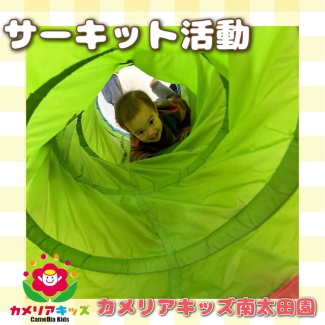 こんにちは🙈カメリアキッズ南太田園です🎊サーキット活動を行いました😌0歳児さんでもトンネルをくぐったりして一緒に楽しんでいます🫶。・:*:・゜★,。・:*:・゜☆。・:*:・゜★,。・:*:・゜☆⁡  随時説明会開催中です✨ ご連絡お待ちしております🌈 ⁡ 他SNSも要チェック♪ HP：カメリアキッズ youtube：🔎カメリアキッズ ほいくえ：🔎カメリアキッズ TikTok：🔎@camellia_kids_hoikuen ⁡ ☆☆☆☆☆☆☆☆☆☆☆☆  🚩カメリアキッズ 南太田園🚩 〒232-0006 神奈川県横浜市南区南太田１丁目34-7 ☎️045-334-7497  園児・保育士さん・調理さん **◎◎◎募集中**◎◎◎* ⁡ #ママライフ #ママリ #保育園#子育てママ#保育士おもちゃママスタグラム2歳児働くママ幼児食1歳児0歳児保育南区保育士の卵企業主導型保育園保育学生小規模保育園園児募集保育士試験保育士募集認可外保育園保育学生南太田保育園探し保育士求人カメリアキッズ神奈川県保育園南区保育園南太田保育園