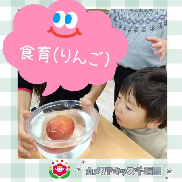 こんにちは☀カメリアキッズ千石園です😊先日は食育でりんごについて学びました🍎りんごは水に浮かぶかな？皮を剥いたら何色かな？どんな匂いがするかな？とりんごを触りながら、いろいろ体験していました😆⋈ ･････････････････････････ ⋈説明会開催中です✰ご連絡お待ちしております！⁡他SNSも要チェック↓Instagram：@itg_camellia_kidsTwitter：camellia_kidsyoutube：🔎カメリアキッズほいくえ：🔎カメリアキッズ𖡼.𖤣𖥧𖡼.𖤣𖥧𖡼.𖤣𖥧𖡼.𖤣𖥧𖡼.𖤣𖥧𖡼.𖤣𖥧𖡼.𖤣𖥧𖡼.𖤣𖥧𖡼.𖤣𖥧カメリアキッズ千石園📮135-0015🏠東京都江東区千石3-1-31☎️03-6666-8771𖡼.𖤣𖥧𖡼.𖤣𖥧𖡼.𖤣𖥧𖡼.𖤣𖥧𖡼.𖤣𖥧𖡼.𖤣𖥧𖡼.𖤣𖥧𖡼.𖤣𖥧𖡼.𖤣𖥧#ママライフ #ママリ #保育園 #子育てママ #保育士 #おもちゃ #ママスタグラム#2歳児 #働くママ #幼児食 #1歳児 #0歳児 #保育 #江東区 #保育士の卵 #企業主導型保育園 #保育学生 #小規模保育園 #園児募集 #保育士試験 #保育士募集 #認可外保育園 #保育学生 #千石 #保育園探し #保育士求人 #カメリアキッズ #東京都保育園 #江東区保育園 #千石保育園