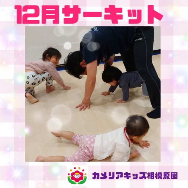 こんにちは😊カメリアキッズ相模原園です✨⁡今月はボールがテーマ ○\(˙꒳˙\ 三ボールを運んでサンタさんにお届けしたり、バイキンマンを退治するために投げたりと、とても体の使い方が上手になってきています😊絵本の「だるまさんが」を講師と一緒に、楽しさが伝わってきます✨くまさん歩行で、のトンネルくぐり、0歳児もやってみようと挑戦中！⁡随時説明会開催中！ご連絡お待ちしております！他SNSも要チェック♪HP：カメリアキッズyouTube：🔎カメリアキッズほいくえ：🔎カメリアキッズTikTok：🔎 @camellia_kids_hoikuen☆☆☆☆☆☆☆☆☆☆☆☆カメリアキッズ相模原園〒252－0231神奈川県相模原市中央区相模原3－1－13　グランシャリオ相模原２階☎042－707－7130園児・保育士さん・調理さん◎◎◎募集中◎◎◎☆☆☆☆☆☆☆☆☆☆☆☆#ママライフ #ママリ #保育園 子育てママ 保育士 おもちゃ ママスタグラム 2歳児 働くママ 幼児食 1歳児クラス 0歳児クラス 保育園 相模原市中央区 保育士の卵 企業主導型保育園 保育学生 小規模保育園 園児募集 保育士試験 保育士募集 認可外保育園 保育学生 相模原 保育園探し 保育士求人 カメリアキッズ 神奈川県保育園 相模原市保育園 相模原保育園⁡
