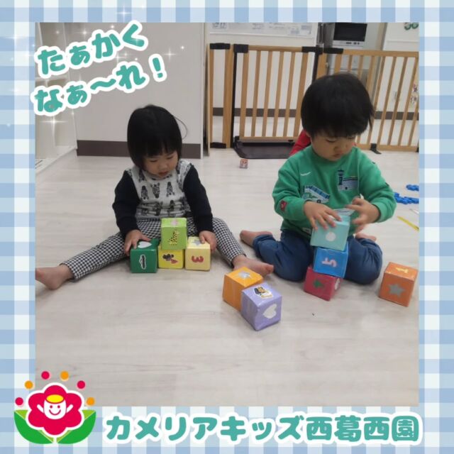 こんにちは🌈カメリアキッズ西葛西園✨サイコロブロック高く高く積み上げてみた！🌼🌼🌼🌼🌼🌼🌼🌼🌼🌼随時説明会開催中です！ご連絡お待ちしております！他SNSも要チェック♪HP：カメリアキッズyoutube：🔎カメリアキッズほいくえ：🔎カメリアキッズTikTok：🔎@camellia_kids_hoikuen☆☆☆☆☆☆☆☆☆☆☆☆カメリアキッズ西葛西園〒134-0088住所:東京都江戸川区西葛西6-8-4 ニュースカイビル1F☎️電話番号:03-5878-1877園児・保育士さん・調理さん◎◎◎募集中◎◎◎☆☆☆☆☆☆☆☆☆☆☆☆#ママライフ #ママリ #保育園#子育てママ#保育士#おもちゃ#ママスタグラム#2歳児#働くママ#幼児食#1歳児#0歳児#保育#江戸川区#保育士の卵#企業主導型保育園#保育学生#小規模保育園#園児募集#保育士試験#保育士募集#認可外保育園#保育学生#西葛西#保育園探し#保育士求人#カメリアキッズ#東京都保育園#江戸川区保育園#西葛西保育園