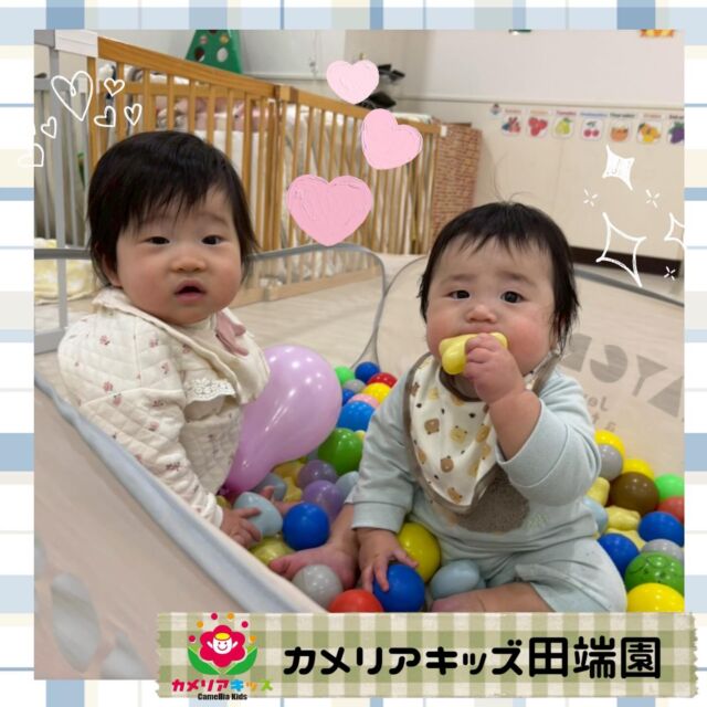 年末年始明けもみんな元気いっぱい登園してくれました！今年も沢山あそぼうね💕#ママライフ #ママリ #保育園#子育てママ#保育士おもちゃママスタグラム2歳児働くママ幼児食1歳児0歳児保育北区保育士の卵企業主導型保育園保育学生小規模保育園園児募集保育士試験保育士募集認可外保育園保育学生田端保育園探し保育士求人カメリアキッズ東京都保育園北区保育園田端保育園随時説明会開催中です！ご連絡お待ちしております！他SNSも要チェック♪HP：カメリアキッズyoutube：🔎カメリアキッズほいくえ：🔎カメリアキッズTikTok：🔎@camellia_kids_hoikuen☆☆☆☆☆☆☆☆☆☆☆☆カメリアキッズ田端園〒114-0012住所:東京都北区田端新町3-36-10ﾄﾐﾔﾊｲﾑ1F☎️電話番号:03-6240-8755園児・保育士さん・調理さん◎◎◎募集中◎◎◎☆☆☆☆☆☆☆☆☆☆☆☆
