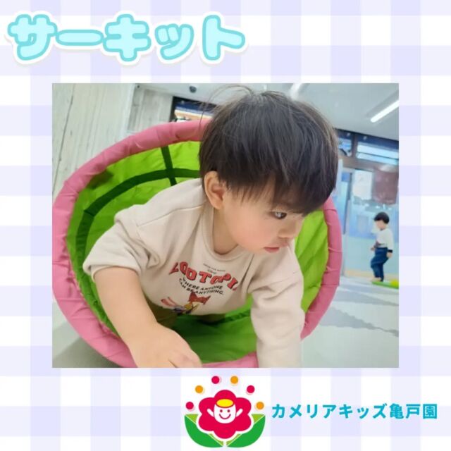 こんにちは！カメリアキッズ亀戸園です🐢遅くなりましたが、新年あけましておめでとうございます🐎✨本年もどうぞよろしくお願いいたします☺️今年初めてのサーキットを行いました!!!たくさん体を動かして楽しんでいました👣🌈🌈🌈🌈🌈🌈🌈🌈🌈随時説明会を開催中です！ご連絡お待ちしております！🌈🌈🌈🌈🌈🌈🌈🌈🌈他SNSも要チェック♪Instagram：@itg_camellia_kidsYouTube：🔎カメリアキッズほいくえ：🔎カメリアキッズTikTok：camellia_kids_hoikuen✯ ✯ ✯ ✯ ✯ ✯ ✯ ✯ ✯ ✯ ✯🚩カメリアキッズ亀戸園🏠〒136-0071　　東京都江東区亀戸2-43-2ドルミ亀戸101号室☎️03-6802-9745🗣️園児・保育士さん・調理さん　　　＼  募 集 中 ／✯ ✯ ✯ ✯ ✯ ✯ ✯ ✯ ✯ ✯ ✯#ママライフ #ママリ #保育園#子育てママ#保育士#おもちゃ#ママスタグラム#2歳児#働くママ#幼児食#1歳児#0歳児#保育#江東区#保育士の卵#企業主導型保育園#保育学生#小規模保育園#園児募集#保育士試験#保育士募集#認可外保育園#保育学生#亀戸#保育園探し#保育士求人#東京都保育園#江東区保育園#亀戸保育園