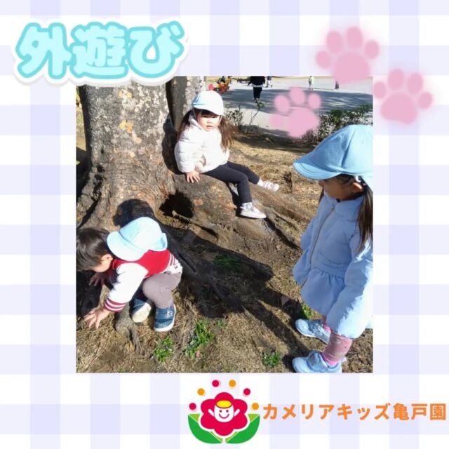 こんにちは！カメリアキッズ亀戸園です🐢外遊びの様子をお届けいたします☺️木を触ってみたり座ったり楽しんでいました🌳🍃🌈🌈🌈🌈🌈🌈🌈🌈🌈随時説明会を開催中です！ご連絡お待ちしております！🌈🌈🌈🌈🌈🌈🌈🌈🌈他SNSも要チェック♪Instagram：@itg_camellia_kidsYouTube：🔎カメリアキッズほいくえ：🔎カメリアキッズTikTok：camellia_kids_hoikuen✯ ✯ ✯ ✯ ✯ ✯ ✯ ✯ ✯ ✯ ✯🚩カメリアキッズ亀戸園🏠〒136-0071　　東京都江東区亀戸2-43-2ドルミ亀戸101号室☎️03-6802-9745🗣️園児・保育士さん・調理さん　　　＼  募 集 中 ／✯ ✯ ✯ ✯ ✯ ✯ ✯ ✯ ✯ ✯ ✯#ママライフ #ママリ #保育園#子育てママ#保育士#おもちゃ#ママスタグラム#2歳児#働くママ#幼児食#1歳児#0歳児#保育#江東区#保育士の卵#企業主導型保育園#保育学生#小規模保育園#園児募集#保育士試験#保育士募集#認可外保育園#保育学生#亀戸#保育園探し#保育士求人#東京都保育園#江東区保育園#亀戸保育園