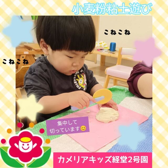 こんにちは⭐カメリアキッズ経堂2号園です😊今回は小麦粉粘土で遊んだ様子お届けします❣️スーパーなどどこでも購入できる小麦粉を水と1:1で混ぜてこねていくことで簡単に粘土を作る事が出来ます😳子どもたちも道具を使いながら上手に遊んでいました🎶午前の活動で行いましたが、夕方にももう1度出して1日に2回も楽しんでいた子どもたちです🥰ご家庭でも簡単に出来るので、天気が悪かったりお家にいる時間があるときはぜひ遊んでみてください💕************************随時説明会開催中です！ご連絡お待ちしております！他SNSも要チェック♪HP：カメリアキッズyoutube：🔎カメリアキッズほいくえ：🔎カメリアキッズTikTok：🔎@camellia_kids_hoikuen☆☆☆☆☆☆☆☆☆☆☆☆カメリアキッズ経堂2号園〒156-0051東京都世田谷区宮坂2-18-3 キャッスル経堂1階☎️03-5799-6185園児・保育士さん・調理さん◎◎◎募集中◎◎◎☆☆☆☆☆☆☆☆☆☆☆☆＃カメリアキッズ＃東京都＃世田谷区保育園＃認可外保育園#保活