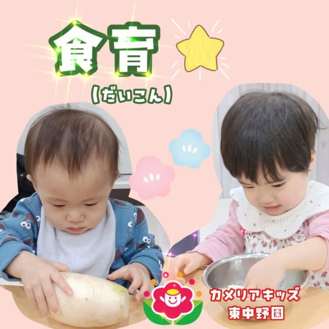 こんにちは😄カメリアキッズ東中野園です！1月の食育の様子をお届けします🎉今月のテーマは『大根』でした☺️お野菜の読み聞かせを聞いて早速興味津々😊実際に手に触れ感触を楽しんだり、実際にすりおろして調理の工程を知ることができました😆早くご飯が食べたいなぁ🤤他SNSも要チェック♪Instagram:@itg_camellia_kids Twitter:camellia_kidsyoutube:🔎カメリアキッズほいくえ:🔎カメリアキッズ✰✰✰✰✰✰✰✰✰✰✰✰✰✰✰✰🚩カメリアキッズ東中野園🚩〒156-0003東京都中野区東中野1-1-2プライマリービル1F☎03-6908-6828園児・保育士さん・調理さんを◎◎◎募集中◎◎◎#カメリアキッズ #東京都 #中野区保育園 #認可外保育園 #保活
