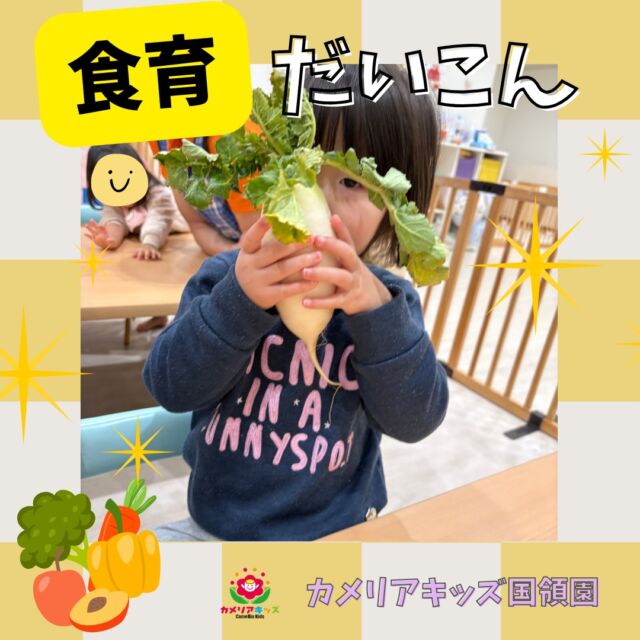 こんにちは😊カメリアキッズ国領園です✨⁡「うわぁ〜！おっきーーーい！！😳✨」先生が持ってきてくれた大きな大根に、子どもたちはびっくり！触ってみたり、匂いをかいでみたり、葉っぱをじーっと観察したり…今日は大根のお話を聞きながら、冬野菜に親しみました🌿⁡⁡☆☆☆☆☆☆☆☆☆☆☆☆カメリアキッズ国領園〒184-0022調布市国領町4-21-12 フェリーチェ国領1階☎️042-444-6199園児・保育士さん・調理さん◎◎◎募集中◎◎◎☆☆☆☆☆☆☆☆☆☆☆☆#カメリアキッズ#東京都#調布市保育園#認可外保育園　#保活