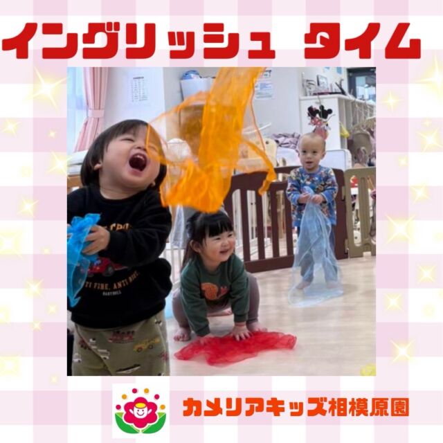こんにちは😊カメリアキッズ相模原園です✨⁡イングリッシュタイムで、スカーフを使いました。フワフワ落ちてくるスカーフに目がキラキラ✨🤩⁡随時説明会開催中！ご連絡お待ちしております！他SNSも要チェック♪HP：カメリアキッズyouTube：🔎カメリアキッズほいくえ：🔎カメリアキッズTikTok：🔎 @camellia_kids_hoikuen☆☆☆☆☆☆☆☆☆☆☆☆カメリアキッズ相模原園〒252－0231神奈川県相模原市中央区相模原3－1－13　グランシャリオ相模原２階☎042－707－7130園児・保育士さん・調理さん◎◎◎募集中◎◎◎☆☆☆☆☆☆☆☆☆☆☆☆#カメリアキッズ #神奈川#相模原市保育園 ＃認可外保育園　＃保活