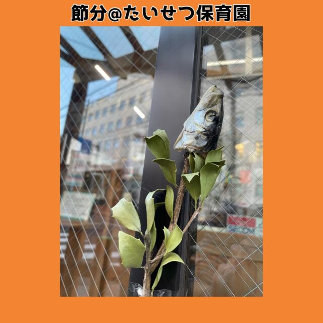 こんにちは♪たいせつ保育園です🍀今日は節分みんなの中のいろんな鬼をやっつけたよ！「鬼さんは、いわしを焼くにおいが苦手なんだっていわしをお外に飾っていれば、鬼さんは来ないよ」と、先生からのお話。　　その話を聞いて　安心する子どもたち。給食の鬼ごはんも　モリモリ食べて、鬼さんをやっつけるぞ！そんな会話もしながら　和やかな時間を過ごしました。ひとつひとつの行事を丁寧に。子どもたちの心に寄り添いながら行なっています。気になる方は園見学にいらしてくださいね♡💭🤍.•*¨*•.*♬ 💭🤍.•*¨*•.*♬💭 🤍.•*¨*•.*♬説明会開催中です✨ご連絡お待ちしております🌈ホームページ: 🔎たいせつ保育園⁡🍀✨🍀✨🍀✨🍀✨🍀✨🍀✨🍀✨たいせつ保育園📮 221-0823 🏠神奈川県横浜市神奈川区二ツ谷町6-3☎️ 045-624-8836🍀✨🍀✨🍀✨🍀✨🍀✨🍀✨🍀✨#ママライフ#ママリ#保育園#子育てママ#保育士おもちゃ保育園ママ2歳児働くママ幼児食1歳児0歳児保育横浜市保育士の卵認可保育園保育学生園児募集保育士試験保育士募集認可保育園保育学生横浜保育園探し保育士求人たいせつ神奈川保育園横浜市保育園横浜保育園