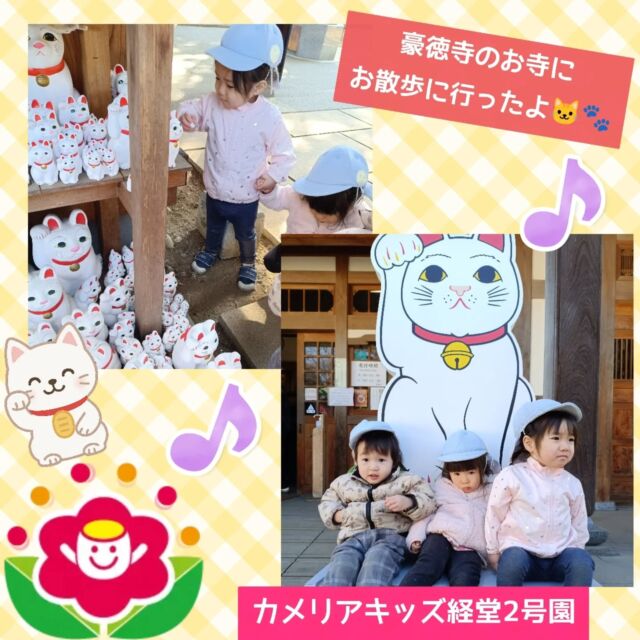 こんにちは♪カメリアキッズ経堂2号園です⭐️今回はお散歩の様子をお届けします🚶土曜日や日曜日は利用の園児少ないため、少し遠出して平日では行けない公園などに行ったりしています😚今回は豪徳寺にあるお寺に行き、招き猫が有名なのでたくさんいる招き猫に挨拶したり鯉に挨拶したりして楽しみました🐱🐟️井戸も汲んでみたりもして少しいつもとは違う雰囲気でのお散歩楽しんだ子どもたちです😆💞************************随時説明会開催中です！ご連絡お待ちしております！他SNSも要チェック♪HP：カメリアキッズyoutube：🔎カメリアキッズほいくえ：🔎カメリアキッズTikTok：🔎@camellia_kids_hoikuen☆☆☆☆☆☆☆☆☆☆☆☆カメリアキッズ経堂2号園〒156-0051東京都世田谷区宮坂2-18-3 キャッスル経堂1階☎️03-5799-6185園児・保育士さん・調理さん◎◎◎募集中◎◎◎☆☆☆☆☆☆☆☆☆☆☆☆＃カメリアキッズ＃東京都＃世田谷区保育園＃認可外保育園#保活
