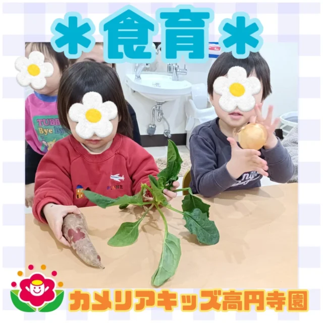 こんにちは！　カメリアキッズ高円寺園です☺今日は、食育活動の日でした。お野菜クイズでは「ほうれん草！」「だいこん！！」と元気に答えていた子ども達😆実際にいろいろな野菜にも触りました。ほうれん草、大根、さつまいも、れんこんなど、、、ちなみに、使用した野菜は今日のお昼ご飯になりました！次回の食育活動もお楽しみに✨☆☆☆☆☆☆☆☆☆☆☆☆カメリアキッズ高円寺園〒166-0003住所 東京都杉並区高円寺南3-62-6高円寺ゲーテビル1階☎️電話番号03-6454-6064園児・保育士さん◎◎◎募集中◎◎◎☆☆☆☆☆☆☆☆☆☆☆☆☆#カメリアキッズ#東京都#杉並区保育園#認可外保育園#保活