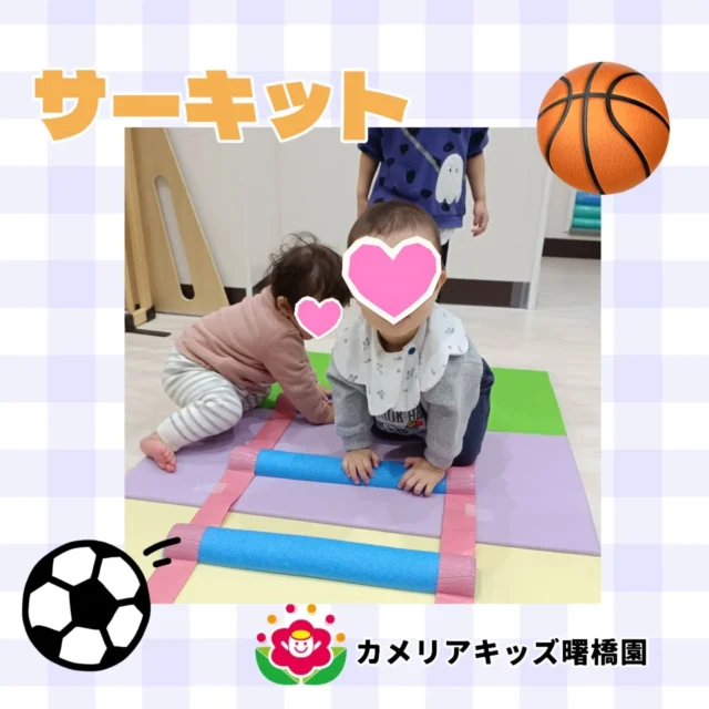 こんにちは！カメリアキッズ曙橋園です😊サーキットがありました✨️毎月あるサーキットにも慣れどんどん積極的に参加する子供たち。周回運動も上手になってきました！0歳児ちゃんたちもノリノリで参加しています。🌈随時説明会開催中です！ご連絡お待ちしております！他SNSも要チェック♪HP：カメリアキッズyoutube：🔎カメリアキッズほいくえ：🔎カメリアキッズTikTok：🔎@camellia_kids_hoikuen☆☆☆☆☆☆☆☆☆☆☆☆カメリアキッズ曙橋園〒162-0065住所：東京都新宿区住吉町3-16グランハイツ1階☎️03-6380-4067園児・保育士さん・調理さん#カメリアキッズ#東京都#新宿区保育園#認可外保育園#保活