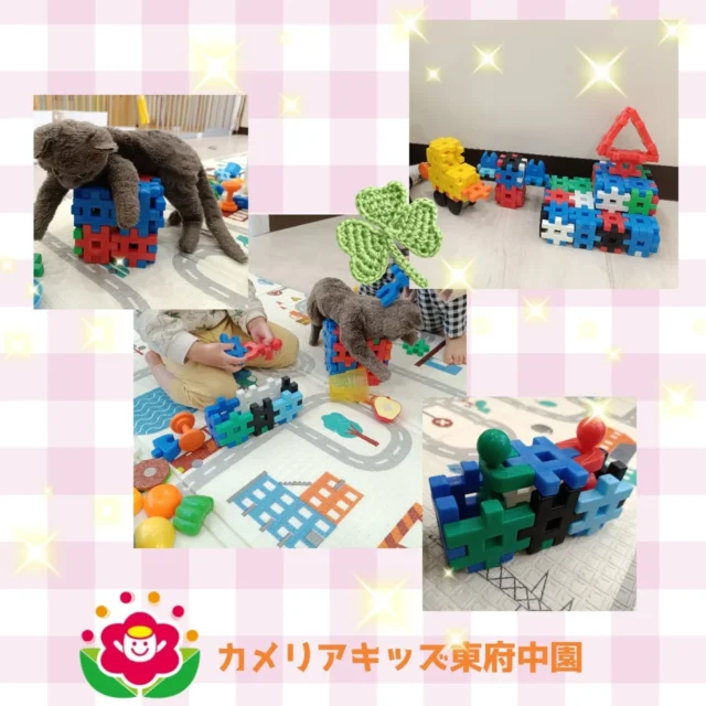 こんにちは。カメリアキッズ東府中園です。今年度も残りわずかですが、、園では普段と変わらない生活を過ごしています。今回は保育園で遊ぶ様子をちょっぴりご紹介致します💡室内遊びでは、ブロックづくりに夢中なお兄さん、お姉さんたち。形を組み合わせて大作を作りました。戸外遊びでは先生やお友だちと走って、からだを動かしていくお友だち。お友だちと過ごす日々が残りわずかなところもありますが、最後までたくさん楽しく遊べるように時間を作っていきたいと思います♫次回は卒園式の様子をお伝えします。お楽しみに✨️随時説明会開催中です!ご連絡お待ちしております！他SNSも要チェック♪HP:カメリアキッズyoutube:🔎カメリアキッズほいくえ:🔎カメリアキッズTikTok:@camellia_kis_hoikuen☆☆☆☆☆☆☆☆☆☆☆☆☆☆カメリアキッズ東府中園〒183-0005住所　東京都府中市若松町1-7-6サングレース東府中1F☎電話番号042-319-8322園児・保育士さん・調理さん◎◎◎募集中◎◎◎☆☆☆☆☆☆☆☆☆☆☆☆☆☆☆#ママライフ#ママリ#保育園#子育てママ#保育士おもちゃママスタグラム2歳児働くママ幼児食1歳児0才児保育府中市保育士の卵企業主導型保育園保育学生小規模保育園園児募集保育士試験保育士募集認可外保育園東府中保育園探し保育士求人カメリアキッズ東京都保育園府中市保育園東府中保育園