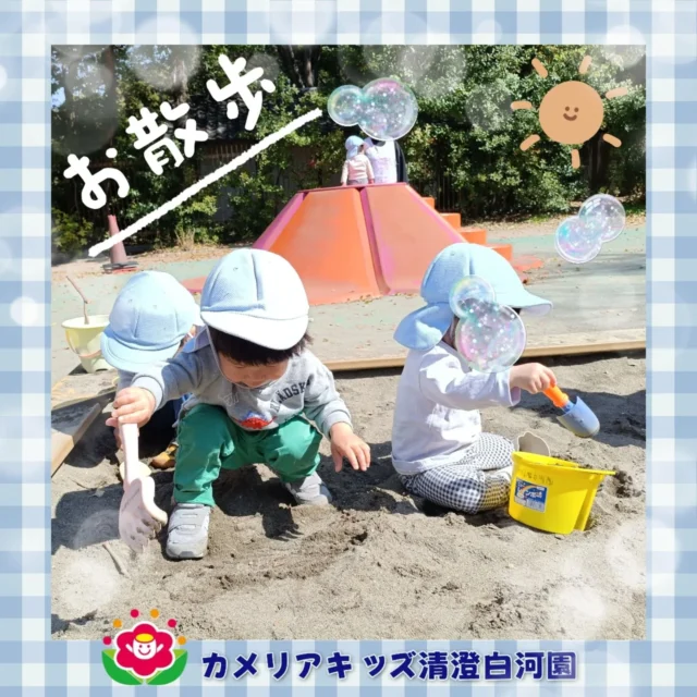 こんにちは☺️カメリアキッズ清澄白河園です✨今月もお天気のいい日は🌞公園で砂遊びをしたり、遊具で遊んだりと🎶汗をいっぱいかきながら楽しんでいます😊✨他SNSも要チェック♪HP：カメリアキッズyoutube：🔎カメリアキッズほいくえ：🔎カメリアキッズTikTok：🔎＠camellia_kids_hoikuen☆☆☆☆☆☆☆☆☆☆☆☆カメリアキッズ清澄白河園〒135-0022東京都江東区三好1-8-3越前屋ビル4F☎️03-5875-9987園児・保育士さん・調理さん◎◎◎募集中◎◎◎☆☆☆☆☆☆☆☆☆☆☆☆#カメリアキッズ#東京都#江東区保育園#認可外保育園#保活