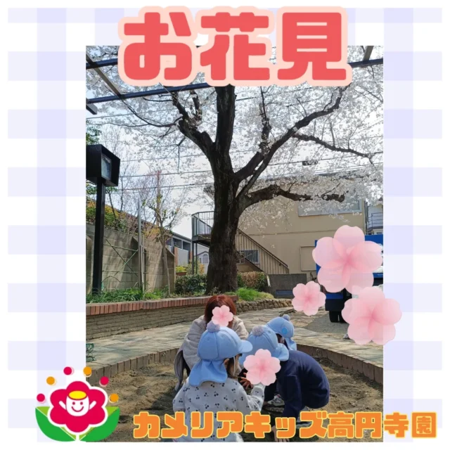 こんにちは！カメリアキッズ高円寺園です☺桜がきれいに咲いていますね🌸高円寺園でもお花見に出かけました。みんな「いっぱい咲いているね！」と、咲いている様子を見たり、花びらを集めたりしていましたよ😄☆☆☆☆☆☆☆☆☆☆☆☆カメリアキッズ高円寺園〒166-0003住所 東京都杉並区高円寺南3-62-6高円寺ゲーテビル1階☎️電話番号03-6454-6064園児・保育士さん◎◎◎募集中◎◎◎☆☆☆☆☆☆☆☆☆☆☆☆☆#カメリアキッズ#東京都#杉並区保育園#認可外保育園#保活