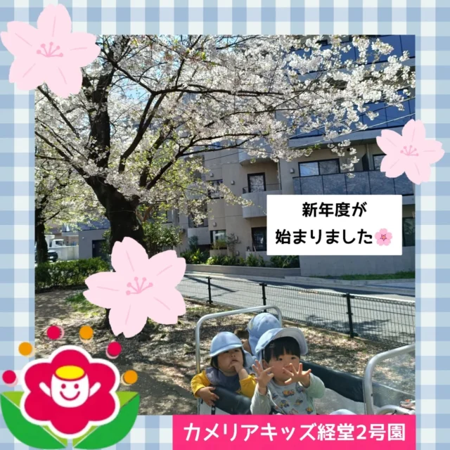こんにちは😊カメリアキッズ経堂2号園です✨新年度がスタートしました🌸今年度もよろしくお願いします🥰新入園児さんたちはまだ慣らし保育中なので、慣らし保育の園児さんたちが降園したあとに進級園児さんたちでゆっくりお散歩に行って楽しんでいます☺️桜やお花を見たりして、春を感じている園児さんたちです🌷************************随時説明会開催中です！ご連絡お待ちしております！他SNSも要チェック♪HP：カメリアキッズyoutube：🔎カメリアキッズほいくえ：🔎カメリアキッズTikTok：🔎@camellia_kids_hoikuen☆☆☆☆☆☆☆☆☆☆☆☆カメリアキッズ経堂2号園〒156-0051東京都世田谷区宮坂2-18-3 キャッスル経堂1階☎️03-5799-6185園児・保育士さん・調理さん◎◎◎募集中◎◎◎☆☆☆☆☆☆☆☆☆☆☆☆＃カメリアキッズ＃東京都＃世田谷区保育園＃認可外保育園#保活