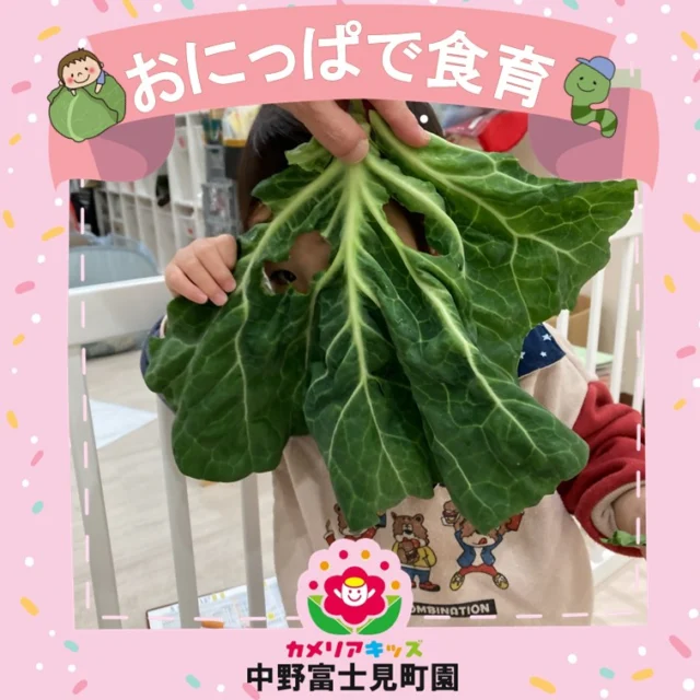 こんにちは！カメリアキッズ中野富士見町園です✨食育で、キャベツの『おにっぱ』の話を聞いたり触れたり遊んだりしました🥬鬼👹みたいにゴツゴツしていたり、キャベツを守るために強い葉っぱであることから、一番そとがわの葉っぱは『おにっぱ』とよばれている。子どもたちは、そんな話を大きなキャベツを目の前にしてじっくりと聞き入っていましたよ。実際に手に触れてちぎったり、匂いをかいだりしました。その後は、おにっぱのお面でお化け👻になった保育士から「きゃ～～」と楽しそうに逃げている姿が可愛らしいこどもたちでした💕随時説明会開催中です！ご連絡お待ちしております🌈他SNSも要チェック♪HP：カメリアキッズyoutube：🔎カメリアキッズほいくえ：🔎カメリアキッズ☆☆☆☆☆☆☆☆☆☆☆☆カメリアキッズ中野富士見町園〒166-0012東京都杉並区和田1-17-6小松本店ビル1F☎️03-6304-8535園児・保育士さん・調理さん◎◎◎募集中◎◎◎☆☆☆☆☆☆☆☆☆☆☆☆#杉並区#中野区#企業主導型保育園#小規模保育園#認可外保育園