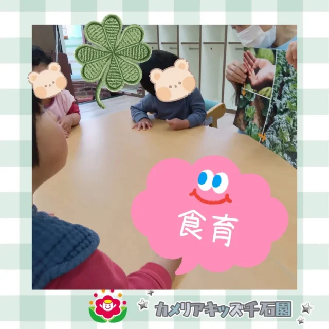 こんにちは😊カメリアキッズ千石園です✨先日はキャベツの食育を行いました！大きな葉っぱにみんなびっくり😳勇気を出して触っていました💪⋈ ･････････････････････････ ⋈説明会開催中です✰ご連絡お待ちしております！⁡他SNSも要チェック↓Instagram：@itg_camellia_kidsTwitter：camellia_kidsyoutube：🔎カメリアキッズほいくえ：🔎カメリアキッズ𖡼.𖤣𖥧𖡼.𖤣𖥧𖡼.𖤣𖥧𖡼.𖤣𖥧𖡼.𖤣𖥧𖡼.𖤣𖥧𖡼.𖤣𖥧𖡼.𖤣𖥧𖡼.𖤣𖥧カメリアキッズ千石園📮135-0015🏠東京都江東区千石3-1-31☎️03-6666-8771𖡼.𖤣𖥧𖡼.𖤣𖥧𖡼.𖤣𖥧𖡼.𖤣𖥧𖡼.𖤣𖥧𖡼.𖤣𖥧𖡼.𖤣𖥧𖡼.𖤣𖥧𖡼.𖤣𖥧#カメリアキッズ#東京都#江東区保育園#認可外保育園#保活2歳児 働くママ 幼児食 1歳児 0歳児 保育 江東区 保育士の卵 企業主導型保育園 保育学生 小規模保育園 園児募集 保育士試験 保育士募集 認可外保育園 保育学生 千石 保育園探し 保育士求人 カメリアキッズ 東京都保育園 江東区保育園 千石保育園