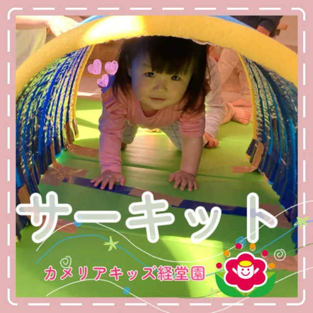 こんにちは😊カメリアキッズ経堂園です✨4月から新入園児の子達を迎え、新年度の最初のサーキットが行われました！初めてのサーキットを体験したお友達は不安もありながら、先生方や在園児の真似をしてコースをまわりました✨これから1年たくさん体を動かしていきましょう💪＊随時説明会開催中です！ご連絡お待ちしております！他SNSも要チェック♪HP：カメリアキッズyoutube：🔎カメリアキッズほいくえ：🔎カメリアキッズTiktok：🔎@camellia_kids_hoikuen🌷🌷🌷🌷🌷🌷🌷🌷🌷🌷🌷🌷🌷🌷🌷156-0052東京都世田谷区経堂1-19-14第六経堂ビル2F【営業時間7:30〜20:30】TEL.03-6413-7449（受付時間　月〜金　8:30〜17:30）【開園日】月〜日・祝◎園児・保育士・調理さん募集中◎🌷🌷🌷🌷🌷🌷🌷🌷🌷🌷🌷🌷🌷🌷🌷#カメリアキッズ#東京都#世田谷区保育園#認可外保育園#保活