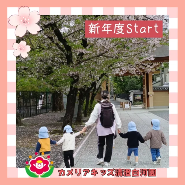 こんにちは🥰カメリアキッズ清澄白河園です✨4/1〜新年度スタート✨️入園・進級おめでとうございます🌸園周辺をお散歩しながらお花見を楽しみました♬みんな元気いっぱい✨たくさん歩きました😁他SNSも要チェック♪HP：カメリアキッズyoutube：🔎カメリアキッズほいくえ：🔎カメリアキッズTikTok：🔎＠camellia_kids_hoikuen☆☆☆☆☆☆☆☆☆☆☆☆カメリアキッズ清澄白河園〒135-0022東京都江東区三好1-8-3越前屋ビル4F☎️03-5875-9987園児・保育士さん・調理さん◎◎◎募集中◎◎◎☆☆☆☆☆☆☆☆☆☆☆☆#カメリアキッズ#東京都#江東区保育園#認可外保育園#保活