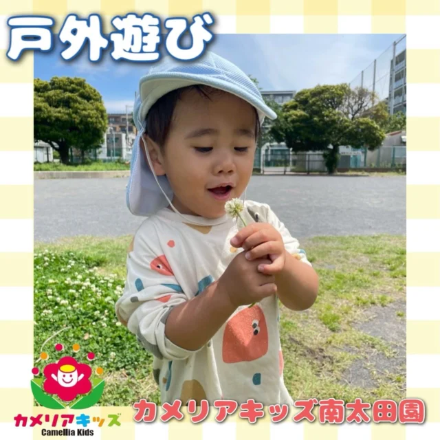 こんにちは👏カメリアキッズ南太田園です✌️だいぶ気温も上がってきましたね🥰いろんなお花を見て触って楽しんでいます😌。・:*:・゜★,。・:*:・゜☆。・:*:・゜★,。・:*:・゜☆⁡  随時説明会開催中です✨ ご連絡お待ちしております🌈 ⁡ 他SNSも要チェック♪ HP：カメリアキッズ youtube：🔎カメリアキッズ ほいくえ：🔎カメリアキッズ TikTok：🔎@camellia_kids_hoikuen ⁡ ☆☆☆☆☆☆☆☆☆☆☆☆  🚩カメリアキッズ 南太田園🚩 〒232-0006 神奈川県横浜市南区南太田１丁目34-7 ☎️045-334-7497  園児・保育士さん・調理さん **◎◎◎募集中**◎◎◎* ⁡ #カメリアキッズ#神奈川県#横浜市保育園#認可外保育園#保活