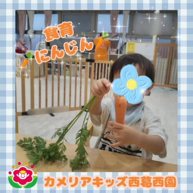 こんにちは🌈カメリアキッズ西葛西園✨＊食育＊にんじん🥕長い葉っぱがついているにんじんを見て不思議そうな顔をしてに触っていました🌿🌼🌼🌼🌼🌼🌼🌼🌼🌼🌼随時説明会開催中です！ご連絡お待ちしております！他SNSも要チェック♪HP：カメリアキッズyoutube：🔎カメリアキッズほいくえ：🔎カメリアキッズTikTok：🔎@camellia_kids_hoikuen☆☆☆☆☆☆☆☆☆☆☆☆カメリアキッズ西葛西園〒134-0088住所:東京都江戸川区西葛西6-8-4 ニュースカイビル1F☎️電話番号:03-5878-1877園児・保育士さん・調理さん◎◎◎募集中◎◎◎☆☆☆☆☆☆☆☆☆☆☆☆#カメリアキッズ#東京都#江戸川区保育園#認可外保育園#保活