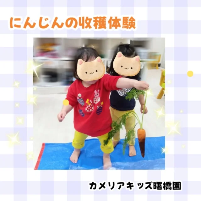 こんにちは！カメリアキッズ曙橋園です😊食育をしました✨️オイシックスさんから届いたにんじんを使ってミニ収穫体験！とったぞー！とにんじんを嬉しそうに持ち上げる子どもたち🥕いつもありがとうという気持ちを込めて、にんじんへの親しみを深めました。その後は、ピーマンの苗を植えました。これから大きく育つのが楽しみですね！🫑🌈随時説明会開催中です！ご連絡お待ちしております！他SNSも要チェック♪HP：カメリアキッズyoutube：🔎カメリアキッズほいくえ：🔎カメリアキッズTikTok：🔎@camellia_kids_hoikuen☆☆☆☆☆☆☆☆☆☆☆☆カメリアキッズ曙橋園〒162-0065住所：東京都新宿区住吉町3-16グランハイツ1階☎️03-6380-4067園児・保育士さん・調理さん#カメリアキッズ#東京都#新宿区保育園#認可外保育園#保活