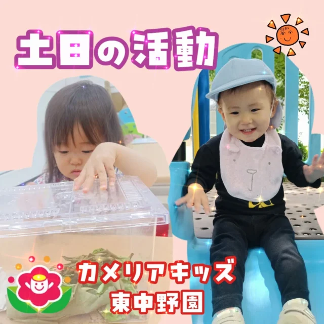 こんにちは😆カメリアキッズ東中野園です！土日の子どもたちの様子をお届けします😃平日だけでなく土日祝日もお散歩や室内での活動をたくさん行っています☺️たくさん遊んでたくさん寝て大きくなろー😁他SNSも要チェック♪Instagram:@itg_camellia_kids Twitter:camellia_kidsyoutube:🔎カメリアキッズほいくえ:🔎カメリアキッズ✰✰✰✰✰✰✰✰✰✰✰✰✰✰✰✰🚩カメリアキッズ東中野園🚩〒156-0003東京都中野区東中野1-1-2プライマリービル1F☎03-6908-6828園児・保育士さん・調理さんを◎◎◎募集中◎◎◎#カメリアキッズ #東京都 #中野区保育園 #認可外保育園 #保活