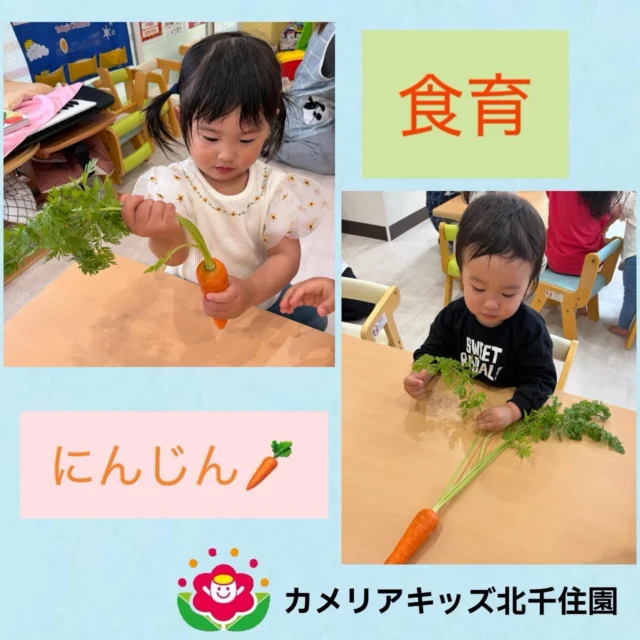 こんにちは☀️カメリアキッズ北千住園です！食育を行いました🥕にんじんの葉っぱの感触や匂いを嗅ぎ興味を示していました⭐️⭐︎⭐︎⭐︎⭐︎⭐︎⭐︎⭐︎⭐︎⭐︎⭐︎⭐︎⭐︎⭐︎⭐︎⭐︎⭐︎随時説明会開催中です!ご連絡お待ちしております!他SNSも要チェック♪HP:🔍カメリアキッズyoutube :🔍カメリアキッズほいくえん🔍:カメリアキッズ✨TikTok :🔍@camellia_kids_hoikuen- [ ] ⭐︎⭐︎⭐︎⭐︎⭐︎⭐︎⭐︎⭐︎⭐︎⭐︎⭐︎⭐︎⭐︎⭐︎⭐︎⭐︎カメリアキッズ北千住園〒120-0034住所東京都足立区千住 4-10-3サカイグリーンパーク北千住第7-101号電話番号03-6806-1469⭐︎⭐︎⭐︎⭐︎⭐︎⭐︎⭐︎⭐︎⭐︎⭐︎⭐︎⭐︎⭐︎⭐︎⭐︎⭐︎園児・保育士さん・調理さん〇〇〇募集中〇〇〇#カメリアキッズ#東京都#足立区保育園#認可外保育園#保活