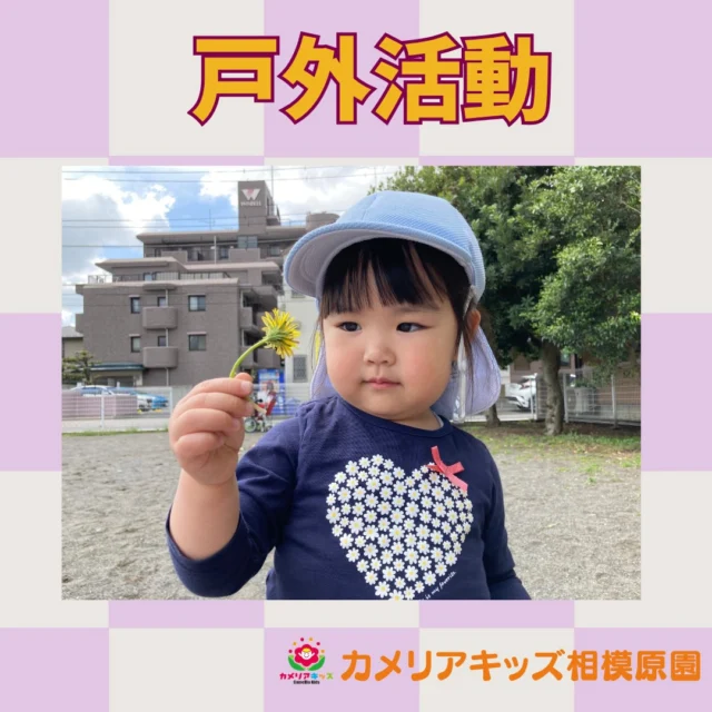 こんにちは😊カメリアキッズ相模原園です✨⁡春を探しにおでかけタンポポを見つけて嬉しそうな子どもたち😊お砂場でもたくさん遊び、のびのびと過ごしました✨⁡季節を感じながら、楽しい時間を過ごしています🌷🌱🌸🌿🌼☘️🌈•*¨*•.¸¸♬︎♪♪⁡⁡随時説明会開催中！ご連絡お待ちしております！他SNSも要チェック♪HP：カメリアキッズyouTube：🔎カメリアキッズほいくえ：🔎カメリアキッズTikTok：🔎 @camellia_kids_hoikuen☆☆☆☆☆☆☆☆☆☆☆☆カメリアキッズ相模原園〒252－0231神奈川県相模原市中央区相模原3－1－13　グランシャリオ相模原２階☎042－707－7130園児・保育士さん・調理さん◎◎◎募集中◎◎◎☆☆☆☆☆☆☆☆☆☆☆☆#カメリアキッズ #神奈川#相模原市保育園 #認可外保育園　#保活