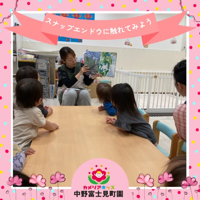 この日は、スナップエンドウに触れて観察をしました😊「みどり！」「おまめだ！」と興味津々な子どもたち♪ 実際に手に取ってみることで、形や色、感触をじっくり楽しむ姿が見られました。食材に触れる経験は、食への興味や「食べてみたい」という気持ちにつながっていきます🍀 五感を使いながら、楽しく野菜に親しみました✨随時説明会開催中です！ご連絡お待ちしております🌈他SNSも要チェック♪HP：カメリアキッズyoutube：🔎カメリアキッズほいくえ：🔎カメリアキッズ☆☆☆☆☆☆☆☆☆☆☆☆カメリアキッズ中野富士見町園〒166-0012東京都杉並区和田1-17-6小松本店ビル1F☎️03-6304-8535園児・保育士さん・調理さん◎◎◎募集中◎◎◎☆☆☆☆☆☆☆☆☆☆☆☆#杉並区#中野区#企業主導型保育園#小規模保育園#認可外保育園