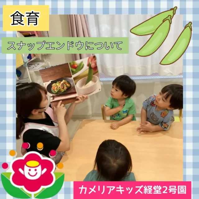 こんにちは☺️カメリアキッズ経堂2号園です⭐今回はスナップエンドウについて行なった食育をお届けします✨️スナップエンドウについての紙芝居を読んでもらい興味を持ってから実際に筋を取るのに挑戦したり、中から小さなお豆出てくると身を乗り出して、興味津々に見ていたりしていました😊************************随時説明会開催中です！ご連絡お待ちしております！他SNSも要チェック♪HP：カメリアキッズyoutube：🔎カメリアキッズほいくえ：🔎カメリアキッズTikTok：🔎@camellia_kids_hoikuen☆☆☆☆☆☆☆☆☆☆☆☆カメリアキッズ経堂2号園〒156-0051東京都世田谷区宮坂2-18-3 キャッスル経堂1階☎️03-5799-6185園児・保育士さん・調理さん◎◎◎募集中◎◎◎☆☆☆☆☆☆☆☆☆☆☆☆＃カメリアキッズ＃東京都＃世田谷区保育園＃認可外保育園#保活