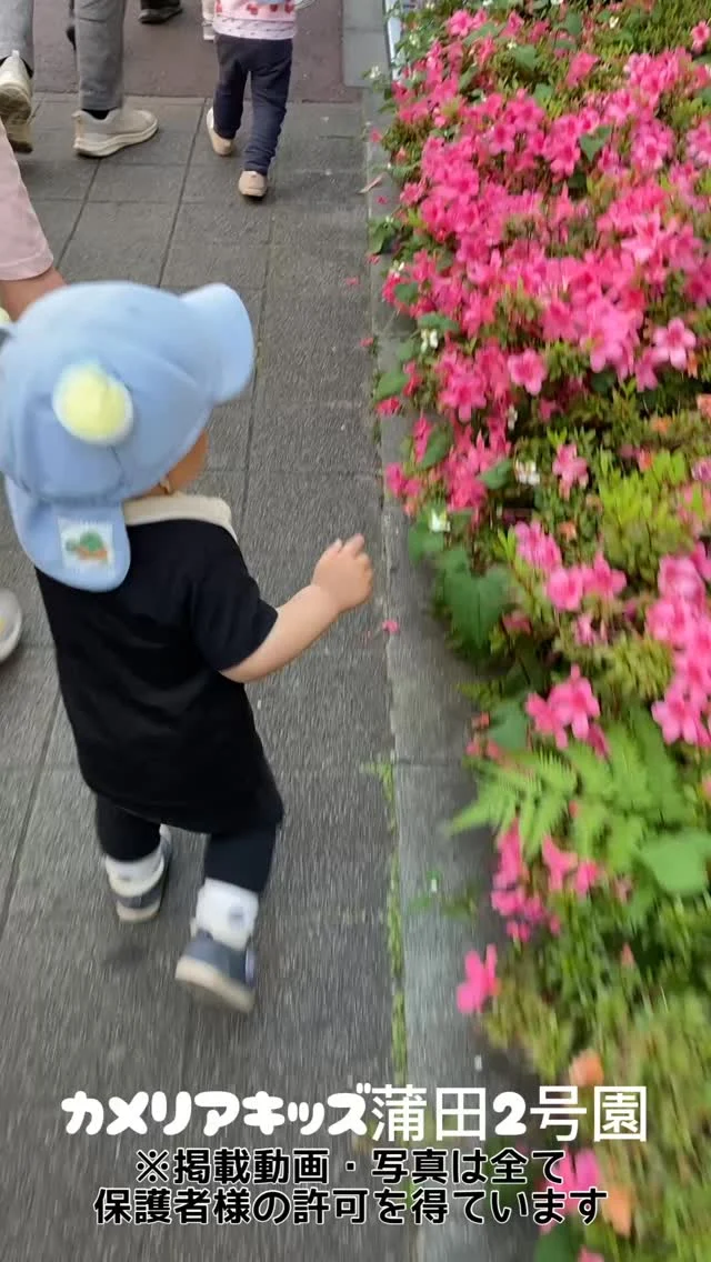 こんにちは😃お散歩風景をお届けします♪歩いてる姿も可愛いですよね😍みんな大好きな滑り台の公園🛝たくさん遊びました！随時説明会開催中です！ご連絡お待ちしております！他SNSも要チェック♪HP：カメリアキッズyoutube：🔎カメリアキッズほいくえ：🔎カメリアキッズTikTok：🔎@camellia_kids_hoikuen☆☆☆☆☆☆☆☆☆☆☆☆カメリアキッズ蒲田2号園〒144-0051東京都大田区西蒲田8-7-1ブランドール2F☎️03-6715-8965園児・保育士さん・調理さん◎◎◎募集中◎◎◎☆☆☆☆☆☆☆☆☆☆☆☆#認可外保育園#保活#東京都#大田区保育園