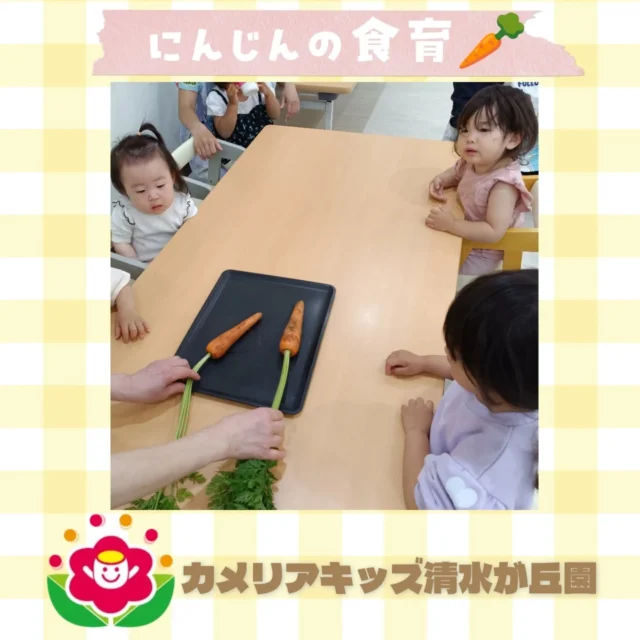 カメリアキッズ清水が丘園です✨先日のにんじんの食育のようすをお届けします🥕みんな興味津々で、触っていました🎶随時説明会開催中です！ご連絡お待ちしております！他SNSも要チェック♪HP：カメリアキッズyoutube：🔎カメリアキッズほいくえ：🔎カメリアキッズTikTok：🔎@camellia_kids_hoikuen☆☆☆☆☆☆☆☆☆☆☆☆カメリアキッズ清水が丘園〒183-0015住所東京都府中市清水が丘3-24-3清水が丘三丁目店舗1F☎️電話番号　042-306-5659園児・保育士さん・調理さん◎◎◎募集中◎◎◎#カメリアキッズ　#東京都　#府中市保育園　#認可外保育園　#保活