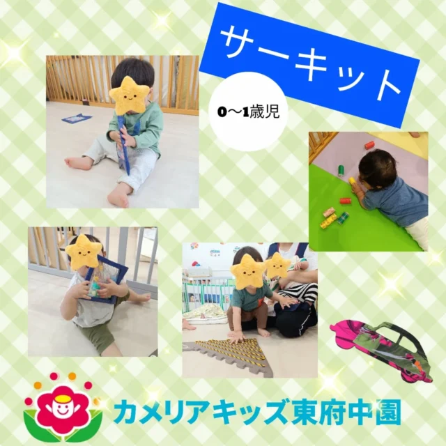 こんにちは♪カメリアキッズ東府中園です。先日に続いて、サーキット運動のつづきをお送り致します✨️今回は、0〜1歳児編💡歩行の練習をしている子ども達もにはまだ難しい運動コース。なので座ってでも指先を使って感覚を養う運動あそびを取り入れています。液体にキラキラ✨️した装飾が入ったプチマット。手で触るとプニプニ、モニモニすることが楽しい玩具に変身！感覚が楽しかったようで繰り返し遊びを広げていました。0歳児の赤ちゃん達もマットを敷いてゴロゴロしてみたり寝返りやつかまり立ちと体全体を使って運動あそびをしています。それぞれの発達年齢に合わせた運動遊び💡毎月行うことでできることが増えていくのもまた楽しみの一つとなっています。次回はどんな運動遊びがあるのか、今からたのしみです😊随時説明会開催中です!ご連絡お待ちしております！他SNSも要チェック♪HP:カメリアキッズyoutube:🔎カメリアキッズほいくえ:🔎カメリアキッズTikTok:@camellia_kis_hoikuen☆☆☆☆☆☆☆☆☆☆☆☆☆☆カメリアキッズ東府中園〒183-0005住所　東京都府中市若松町1-7-6サングレース東府中1F☎電話番号042-319-8322園児・保育士さん・調理さん◎◎◎募集中◎◎◎☆☆☆☆☆☆☆☆☆☆☆☆☆☆☆#カメリアキッズ#東京都#府中市保育園#認可外保育園#保活