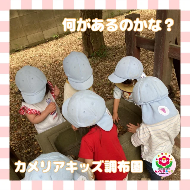 こんにちは、カメリアキッズ調布園です🎶お散歩先にある謎の置き物…みんなが覗いているけど、何があるのかな？🫣はじめての英語も、いつもの場所で安心♪カメリアキッズでは、親子で楽しく参加できる英会話教室を開講します✨️――――――――――――――――———————————他SNSも要チェック♪HP ： カメリアキッズyoutube:Oカメリアキッズほいくえ：●カメリアキッズTikTok: @camellia_kids_hoikuen★★★★★★★★★★★★カメリアキッズ調布園〒184-0026調布市小島町1-5-6アールアンドエスビル1階重042-452-8705園児・保育士さん・調理さん◎O◎募集中◎◎◎#カメリアキッズ#東京都#調布市保育園#認可外保育園#保活