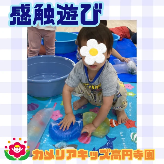 こんにちは！カメリアキッズ高円寺園です☺先日は、お部屋で感触遊びを行いました！色水の入ったビニール袋を触って形が変わる様子を見たり...水とボールの入った傘袋を振って、ボールが動く様子を見たり...シャカシャカ振って泡立てている子もいましたよ✨それぞれにニコニコ楽しんでいました😆☆☆☆☆☆☆☆☆☆☆☆☆カメリアキッズ高円寺園〒166-0003住所 東京都杉並区高円寺南3-62-6高円寺ゲーテビル1階☎️電話番号03-6454-6064園児・保育士さん◎◎◎募集中◎◎◎☆☆☆☆☆☆☆☆☆☆☆☆☆#カメリアキッズ#東京都#杉並区保育園#認可外保育園#保活