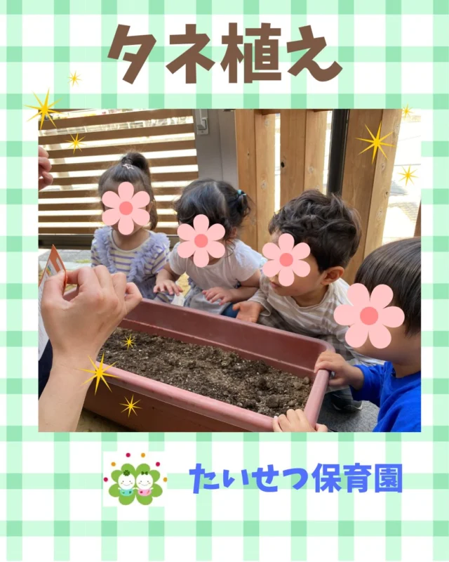 こんにちは✨たいせつ保育園です！めろんぐみタネ植えしました！💭🤍.•*¨*•.*♬ 💭🤍.•*¨*•.*♬💭 🤍.•*¨*•.*♬説明会開催中です✨ご連絡お待ちしております🌈ホームページ: 🔎たいせつ保育園⁡🍀✨🍀✨🍀✨🍀✨🍀✨🍀✨🍀✨たいせつ保育園📮 221-0823 🏠神奈川県横浜市神奈川区二ツ谷町6-3☎️ 045-624-8836🍀✨🍀✨🍀✨🍀✨🍀✨🍀✨🍀✨#たいせつ保育園#神奈川県保育園#横浜市保育園#認可保育園#保育園