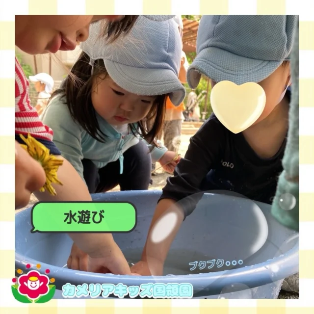 こんにちは！カメリアキッズ国領園です🌻近くの公園にお散歩に行った際にお水遊びをした日の活動写真です🐥だんだんと暑い日が続くようになり、水遊びになると大はしゃぎする様子がたくさん見られます🌟大きなバケツに水を溜めて、小さなコップでブクブク泡ができると不思議そうに何度も同じ工程を繰り返したりと、それぞれオリジナルの楽しみ方を見つけています😊⁡⁡☆☆☆☆☆☆☆☆☆☆☆☆カメリアキッズ国領園〒184-0022調布市国領町4-21-12 フェリーチェ国領1階☎️042-444-6199園児・保育士さん・調理さん◎◎◎募集中◎◎◎☆☆☆☆☆☆☆☆☆☆☆☆#カメリアキッズ#東京都#調布市保育園#認可外保育園　#保活