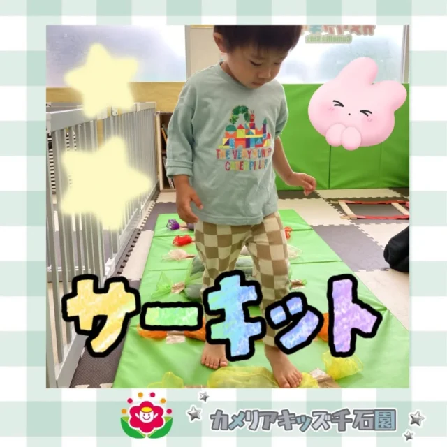 こんにちは😊カメリアキッズ千石園です✨今日はサーキットの日でした！4月当初よりできることがどんどん増えて、積極的に運動できるようになっています💪⋈ ･････････････････････････ ⋈説明会開催中です✰ご連絡お待ちしております！⁡他SNSも要チェック↓Instagram：@itg_camellia_kidsTwitter：camellia_kidsyoutube：🔎カメリアキッズほいくえ：🔎カメリアキッズ𖡼.𖤣𖥧𖡼.𖤣𖥧𖡼.𖤣𖥧𖡼.𖤣𖥧𖡼.𖤣𖥧𖡼.𖤣𖥧𖡼.𖤣𖥧𖡼.𖤣𖥧𖡼.𖤣𖥧カメリアキッズ千石園📮135-0015🏠東京都江東区千石3-1-31☎️03-6666-8771𖡼.𖤣𖥧𖡼.𖤣𖥧𖡼.𖤣𖥧𖡼.𖤣𖥧𖡼.𖤣𖥧𖡼.𖤣𖥧𖡼.𖤣𖥧𖡼.𖤣𖥧𖡼.𖤣𖥧#カメリアキッズ#東京都#江東区保育園#認可外保育園#保活2歳児 働くママ 幼児食 1歳児 0歳児 保育 江東区 保育士の卵 企業主導型保育園 保育学生 小規模保育園 園児募集 保育士試験 保育士募集 認可外保育園 保育学生 千石 保育園探し 保育士求人 カメリアキッズ 東京都保育園 江東区保育園 千石保育園