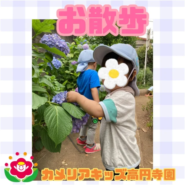こんにちは！カメリアキッズ高円寺園です☺先日、いつもの公園へお散歩に行くと紫陽花が綺麗に咲いていました！「お花！」と指でツンツン触ってニコニコしていた子ども達😄その後はダンゴムシ探しやお砂場遊びをして楽しみました♥️☆☆☆☆☆☆☆☆☆☆☆☆カメリアキッズ高円寺園〒166-0003住所 東京都杉並区高円寺南3-62-6高円寺ゲーテビル1階☎️電話番号03-6454-6064園児・保育士さん◎◎◎募集中◎◎◎☆☆☆☆☆☆☆☆☆☆☆☆☆#カメリアキッズ#東京都#杉並区保育園#認可外保育園#保活