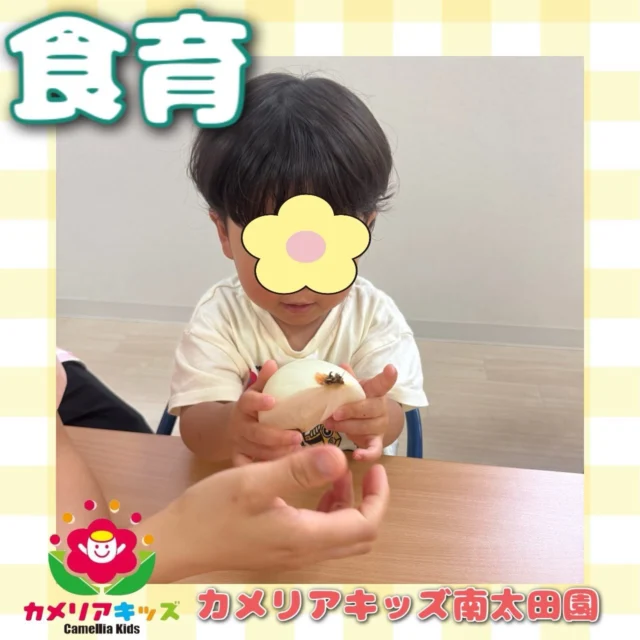こんにちは😌カメリアキッズ南太田園です👶🏻食育で玉ねぎをやりました😌。・:*:・゜★,。・:*:・゜☆。・:*:・゜★,。・:*:・゜☆⁡  随時説明会開催中です✨ ご連絡お待ちしております🌈 ⁡ 他SNSも要チェック♪ HP：カメリアキッズ youtube：🔎カメリアキッズ ほいくえ：🔎カメリアキッズ TikTok：🔎@camellia_kids_hoikuen ⁡ ☆☆☆☆☆☆☆☆☆☆☆☆  🚩カメリアキッズ 南太田園🚩 〒232-0006 神奈川県横浜市南区南太田１丁目34-7 ☎️045-334-7497  園児・保育士さん・調理さん **◎◎◎募集中**◎◎◎* ⁡ #カメリアキッズ#神奈川県#横浜市保育園#認可外保育園#保活