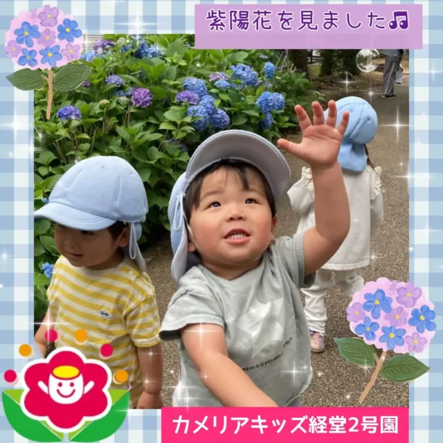 こんにちは😊カメリアキッズ経堂2号園です🌿今回はお散歩で紫陽花を見に行ったときの様子をお届けします💜この季節ならではのお花を見て、大きくなってくるとお花にも興味津々で真剣にお花の観察を楽しんでいました☺️🎶紫陽花を見ながらシャボン玉も楽しんだ子どもたちです🫧************************随時説明会開催中です！ご連絡お待ちしております！他SNSも要チェック♪HP：カメリアキッズyoutube：🔎カメリアキッズほいくえ：🔎カメリアキッズTikTok：🔎@camellia_kids_hoikuen☆☆☆☆☆☆☆☆☆☆☆☆カメリアキッズ経堂2号園〒156-0051東京都世田谷区宮坂2-18-3 キャッスル経堂1階☎️03-5799-6185園児・保育士さん・調理さん◎◎◎募集中◎◎◎☆☆☆☆☆☆☆☆☆☆☆☆#カメリアキッズ#東京都#世田谷区保育園#認可外保育園#保活